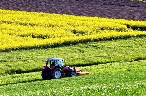 Protocolli sanitari medicina del lavoro: gli agricoltori